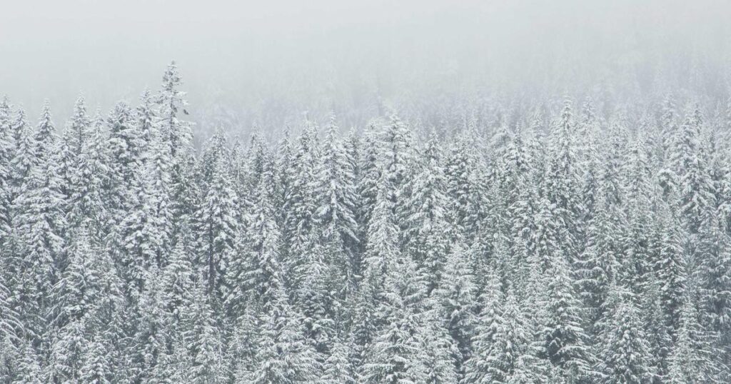 Stake Casino Review: Fast, Loud, and Sticky