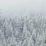 Stake Casino Review: Fast, Loud, and Sticky